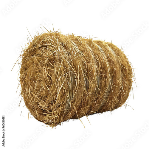 Hay Bale Close-up photo