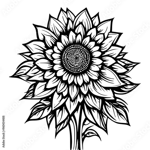 black and white flower