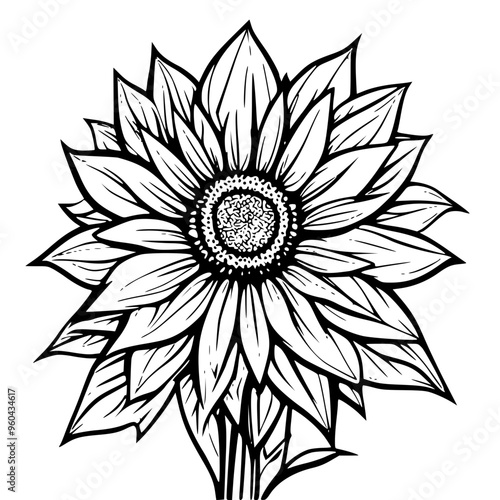black and white abstract flower