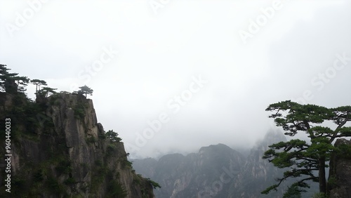 Mysterious high stone mountain with clouds in China Huangshan mountains surrounded by fog and a pine branch