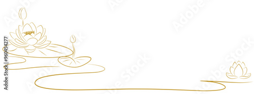 lotus flowers line art illustration. water lily vector element background