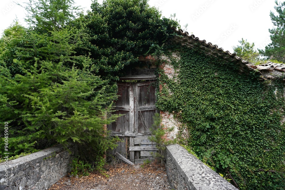 An old, boarded up, dilapidated door. The boards on the door have darkened with time, abundant greenery decorates and partially hides the door, a small section of road leads to the entrance. An old, boarded up, dilapidated door. The boards on the door have darkened with time, abundant greenery decorates and partially hides the door, a small section of road leads to the entrance.