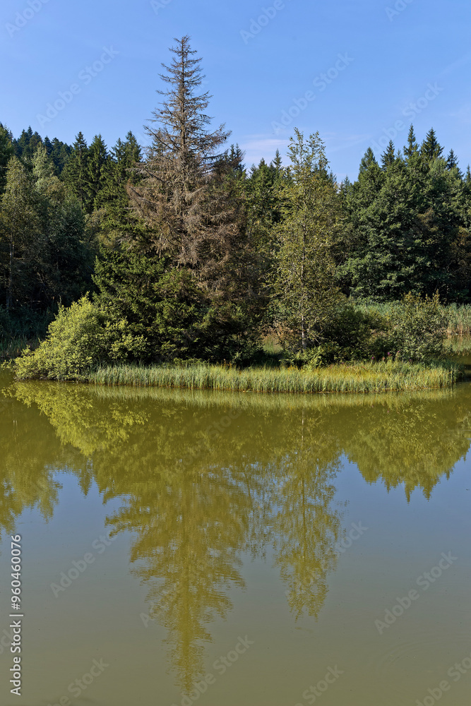 Le Marais, a pond surrounded by forest in Chamrousse mountain range Le Marais, a pond surrounded by forest in Chamrousse mountain range