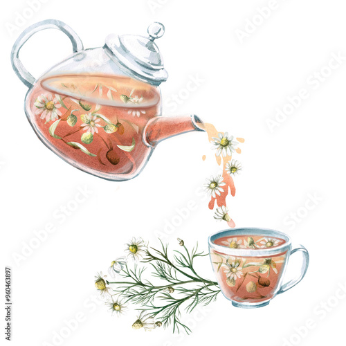 Tilted teapot with chamomile tea pouring into mug. Isolated watercolor illustration for tea ceremony design, cafe, tea shop, poster, tonic tea collections