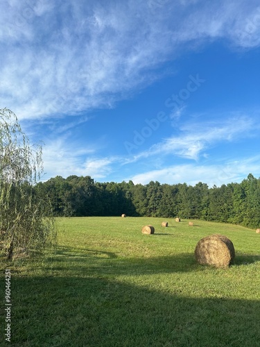 Farmland