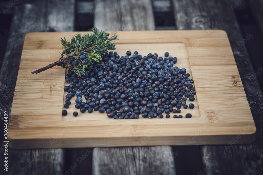ripe juniper berries, a special spice from the wild nature ripe juniper berries, a special spice from the wild nature