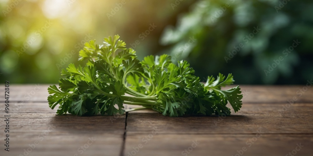 Three green leaves of parsley are shown in a row. Three green leaves of parsley are shown in a row.