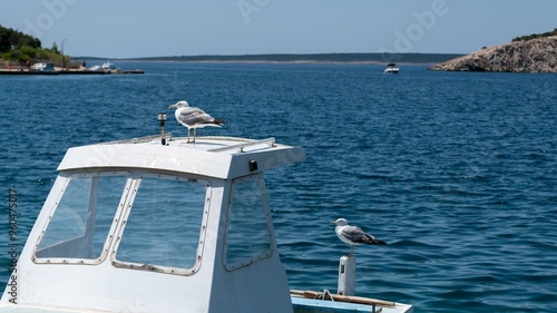 Seagulls rests on fishing boat cabin, waiting for food