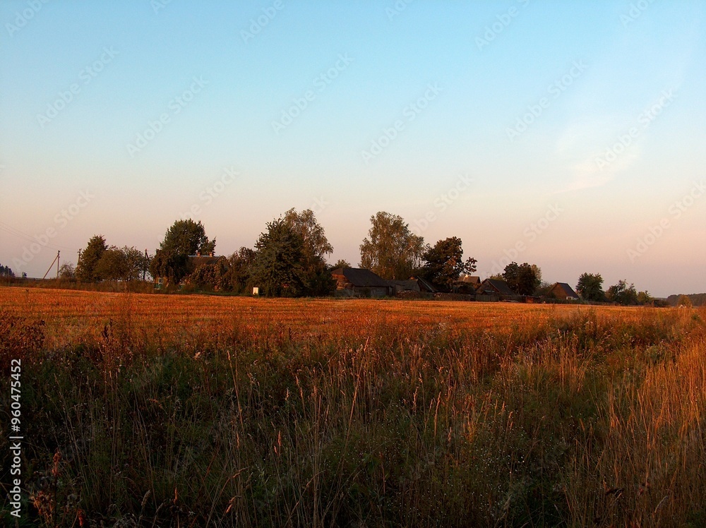 Fototapeta premium belarus, village, field, gardens, houses, roads, sidewalks, trees, flowers, river, forest, pine trees, spruce, meadows, pasture, huts, fence, well