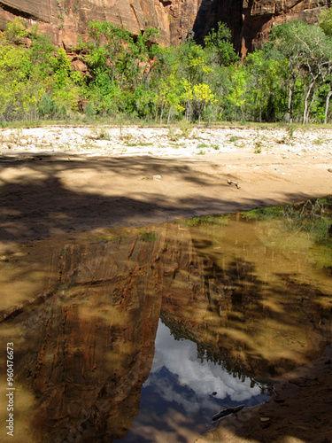 Reflections of the high cliffs of Zion Canyon in the Virgin River.