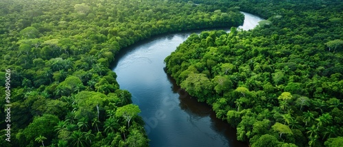 Serene Aerial View of Meandering River Flowing Through Lush Green Forest Canopy