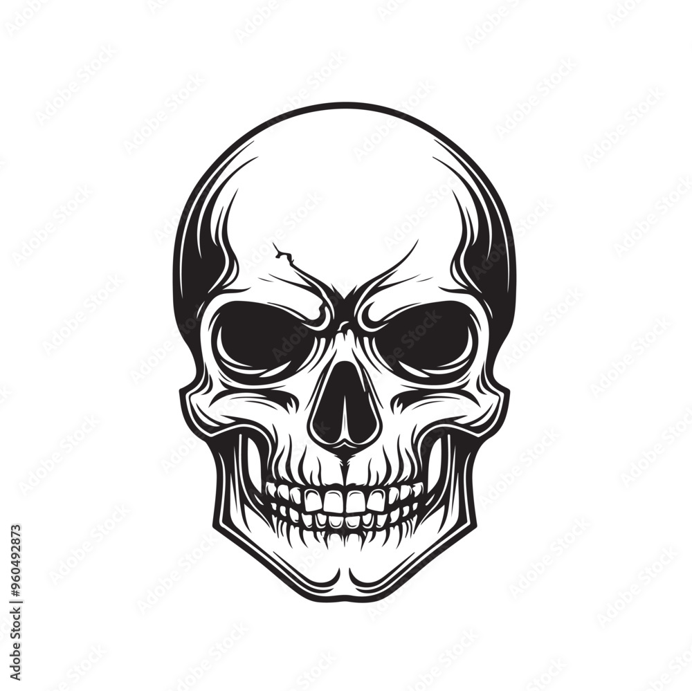 Head Skull Vector Image isolated on white background. Head Skull Vector Image isolated on white background.