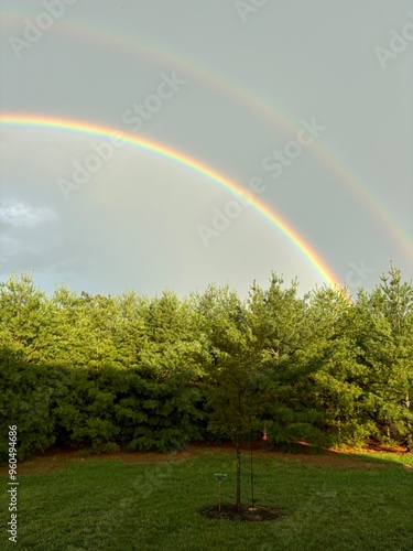HALF DOUBLE RAINBOW
