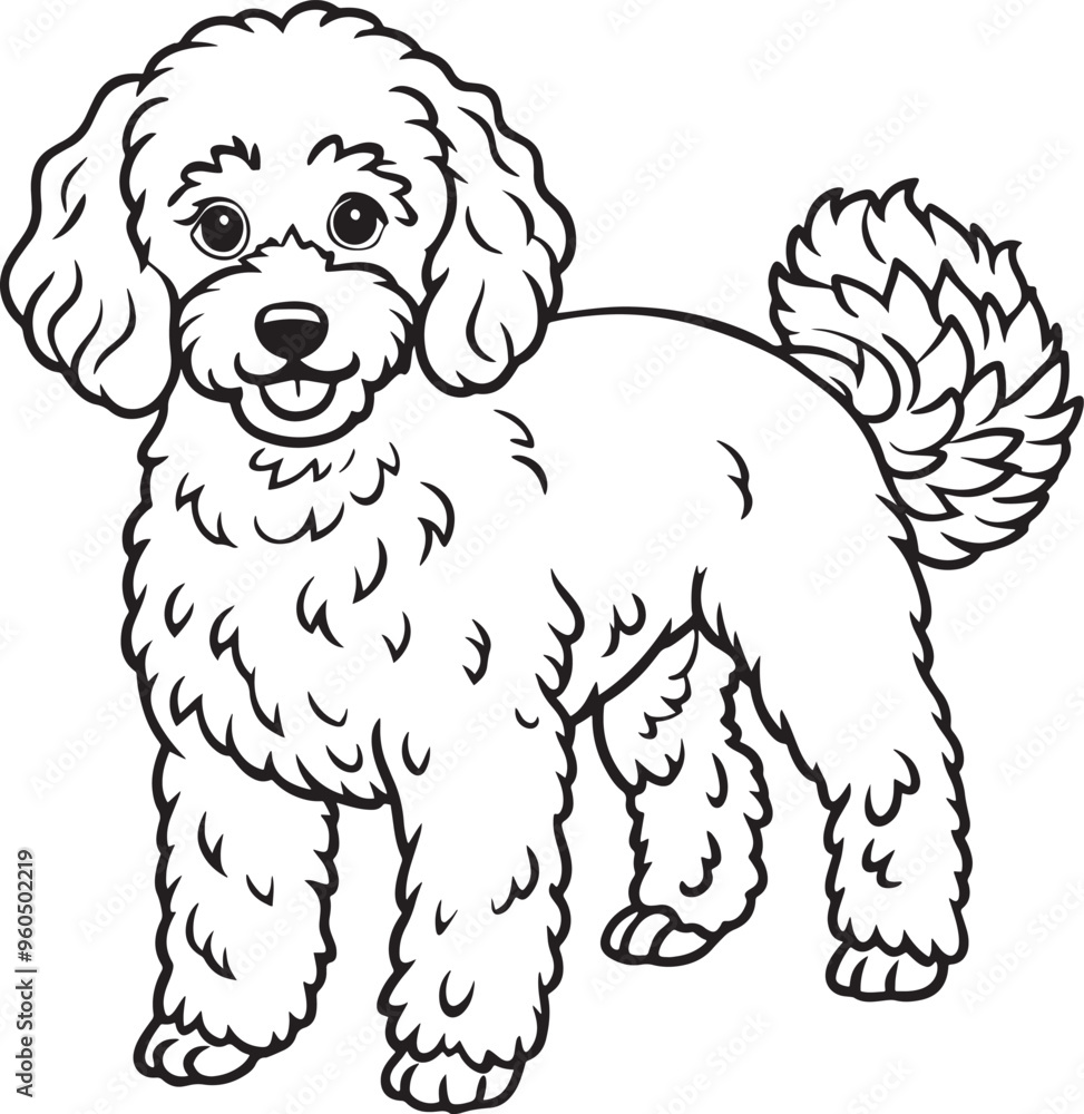 Poodle Drawing Black and White of Balck and White Illustration for Coloring Pages Poodle Drawing Black and White of Balck and White Illustration for Coloring Pages