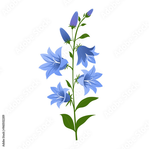 Bluebell flowers drawing sprig