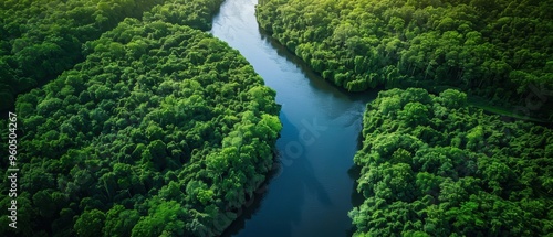 Majestic Aerial View of Serpentine River Meandering Through Lush Forest Canopy