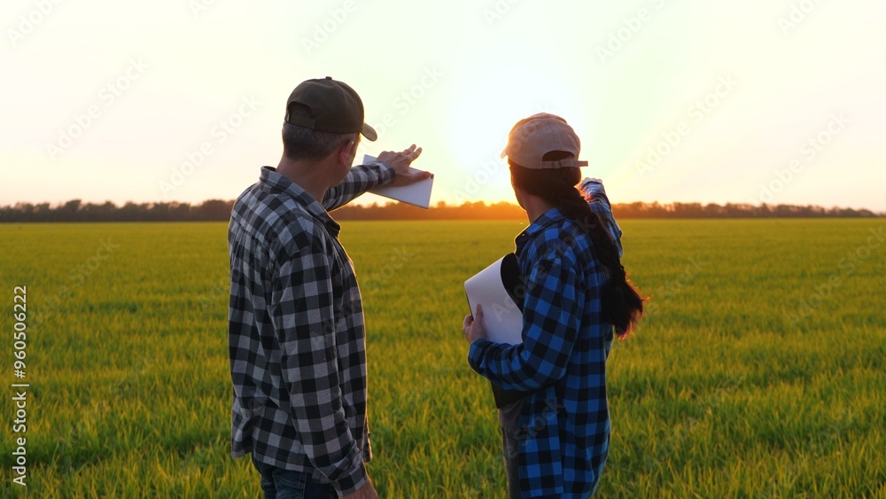 Farmers discuss introduction of new technologies in Agriculture. farmers in field work agrarian technologies, harvest, irrigation, Farmers discuss introduction of new technologies in Agriculture. farmers in field work agrarian technologies, harvest, irrigation,