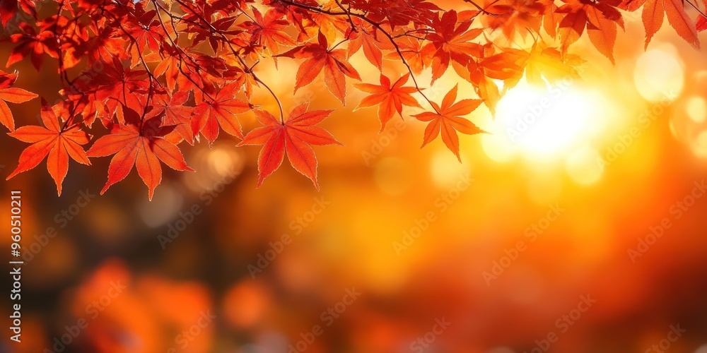 Autumn background with orange fall leaves. Garden scene on fall season with bright shiny sun ray and maple tree Autumn background with orange fall leaves. Garden scene on fall season with bright shiny sun ray and maple tree