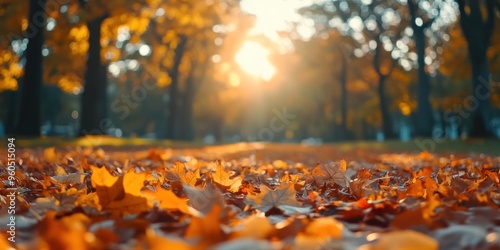 Wallpaper Mural Autumn background with orange fall leaves. Garden scene on fall season with bright shiny sun ray and maple tree Torontodigital.ca