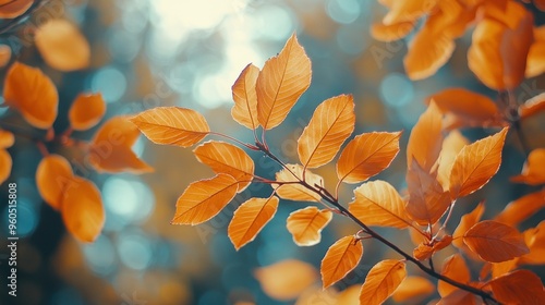 Autumn background with orange fall leaves. Garden scene on fall season with bright shiny sun ray and maple tree