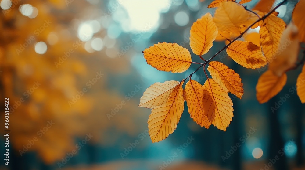 Fototapeta premium Autumn background with orange fall leaves. Garden scene on fall season with bright shiny sun ray and maple tree