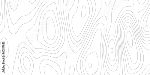 Topographic wave grid map with geometric lines, geographic line map with seamless ornament lines patterns, The concept of a conditional geography scheme with lines, black and white topography. photo