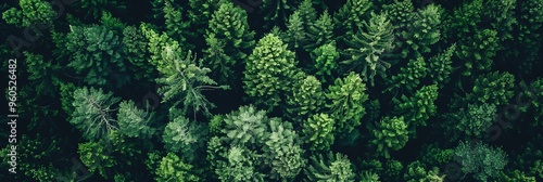 Aerial perspective of lush forest promoting carbon capture for environmental sustainability goals