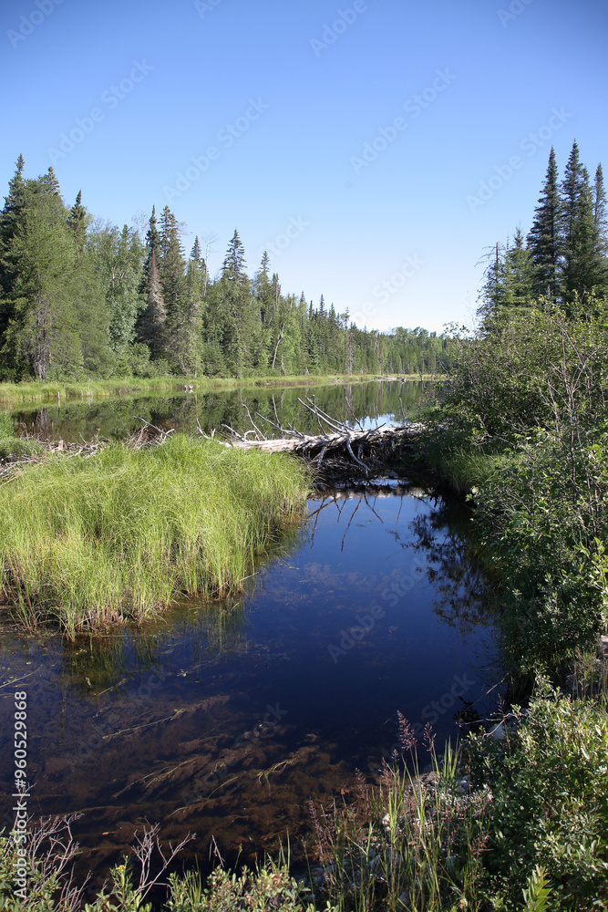 Obraz premium Chapleau Crown Game Preserve / Chapleau Crown Game Preserve /