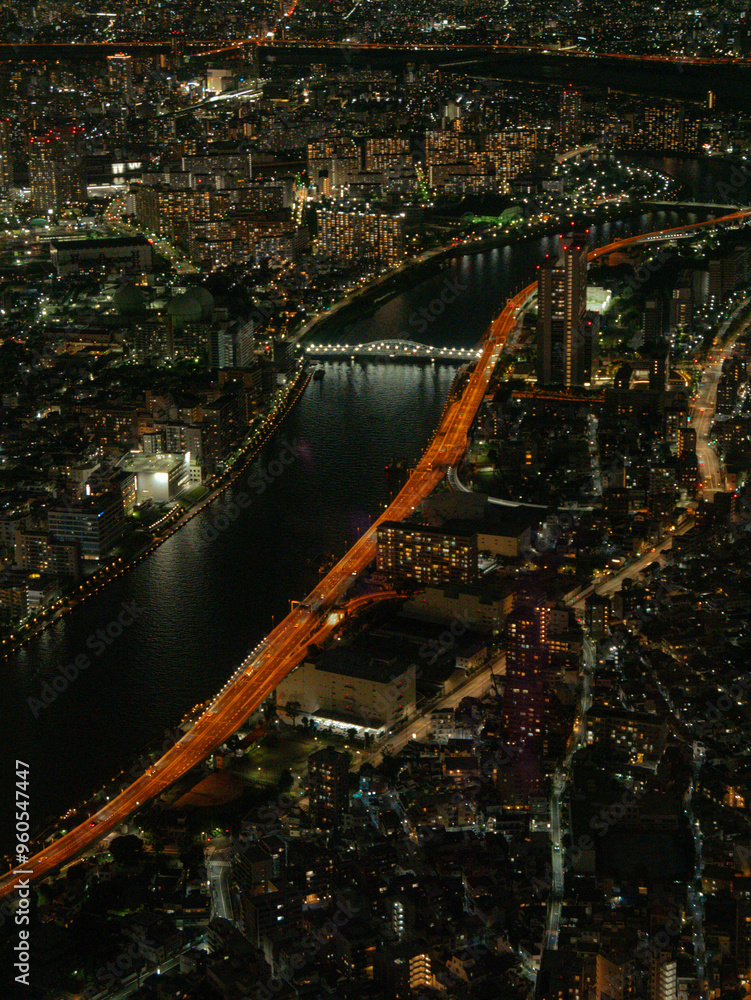 Fototapeta premium view of the Tokyo city at night with river and bridge