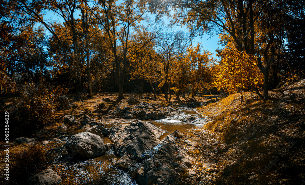 Stream of Paseo de los Arroyos in Villa General Belgrano on a sunny day Stream of Paseo de los Arroyos in Villa General Belgrano on a sunny day