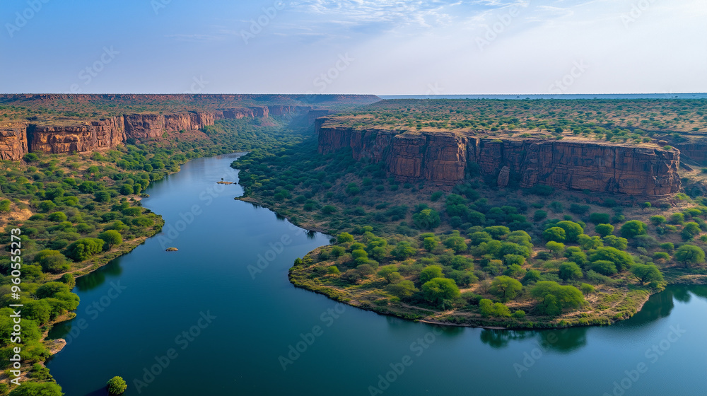 view from the river and forest