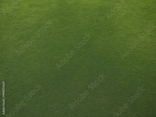 top view texture of green grass for background.