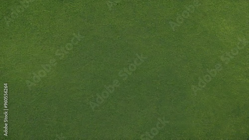 top view of green grass with texture for background.