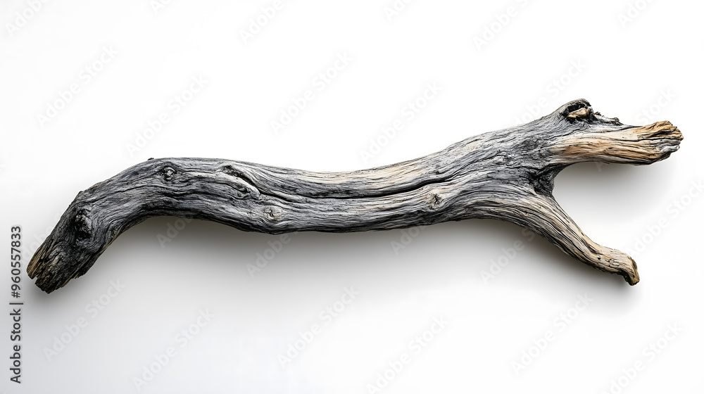 Weathered Wooden Branch Isolated on White Background Weathered Wooden Branch Isolated on White Background