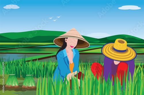 Farmers withdraw seedlings for planting vector design