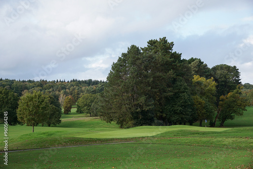 golf course fairway and surrounding woodland trees. Sporting landscape. 