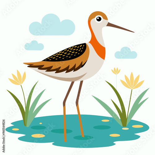 Sandpiper bird on water and plants vector illustration on white background