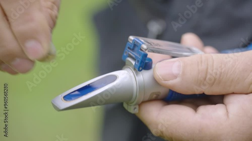 measuring sugar in grapes