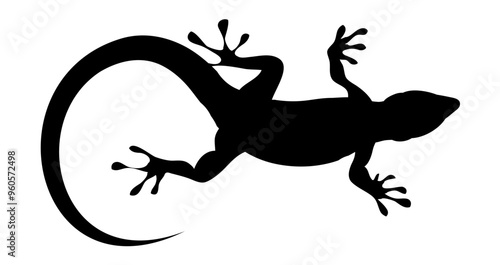 house lizard reptile silhouette