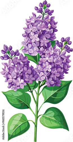 Vibrant Lilac Branch with Lush Green Leaves Illustration - Illustration of a vibrant lilac branch with rich purple blossoms and lush green leaves, capturing the essence of spring and natural beauty.