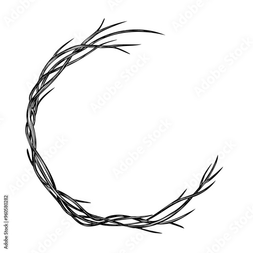 Botanical Wreath with twigs and branches vector illustration. Black outline Frame with twisted plants for autumn Invitations and greeting cards. Etching of circular border for fall postcards design.