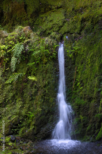 Madeira 2024 BR3A5734.dng