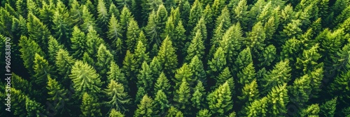 Aerial perspective of lush forests essential role in carbon capture for net zero emissions