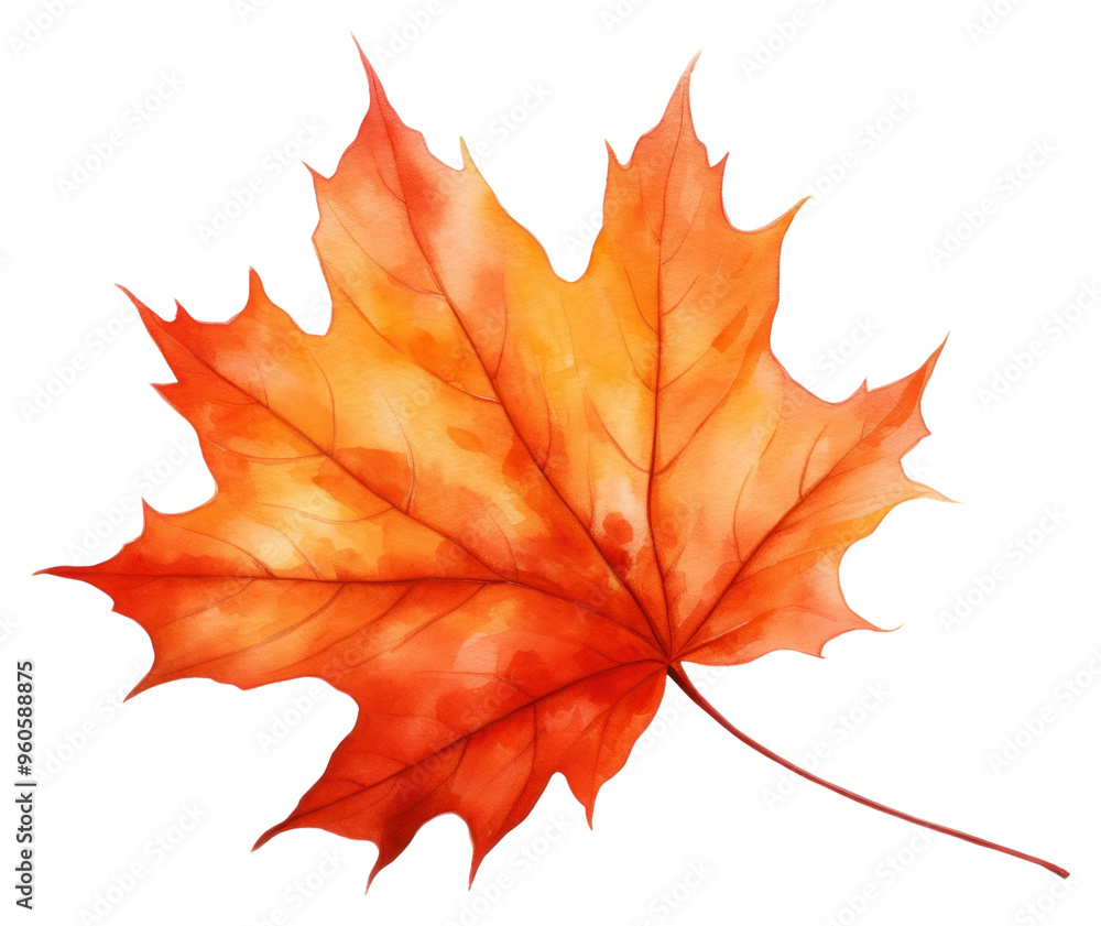 Fototapeta premium PNG Vibrant autumn maple leaf illustration