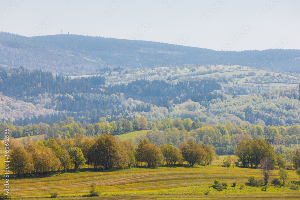 Fototapeta premium Scenic Rolling Hills and Verdant Fields in a Tranquil Countryside Setting