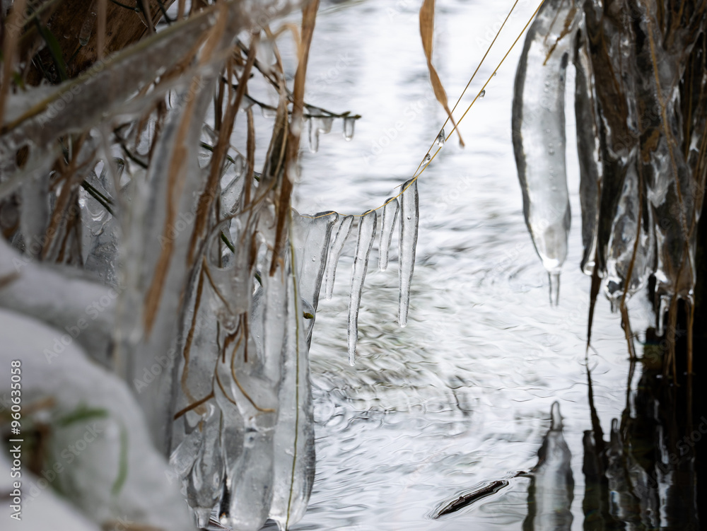 Tiny icicles hanging on a plant next to a lake. The water drops are frozen and forming a natural shape. Phenomenon during cold temperature in the winter season. Tiny icicles hanging on a plant next to a lake. The water drops are frozen and forming a natural shape. Phenomenon during cold temperature in the winter season.