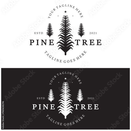 simple pine or fir tree logo,evergreen.for pine forest,adventurers,camping,nature,badges and business.vector
