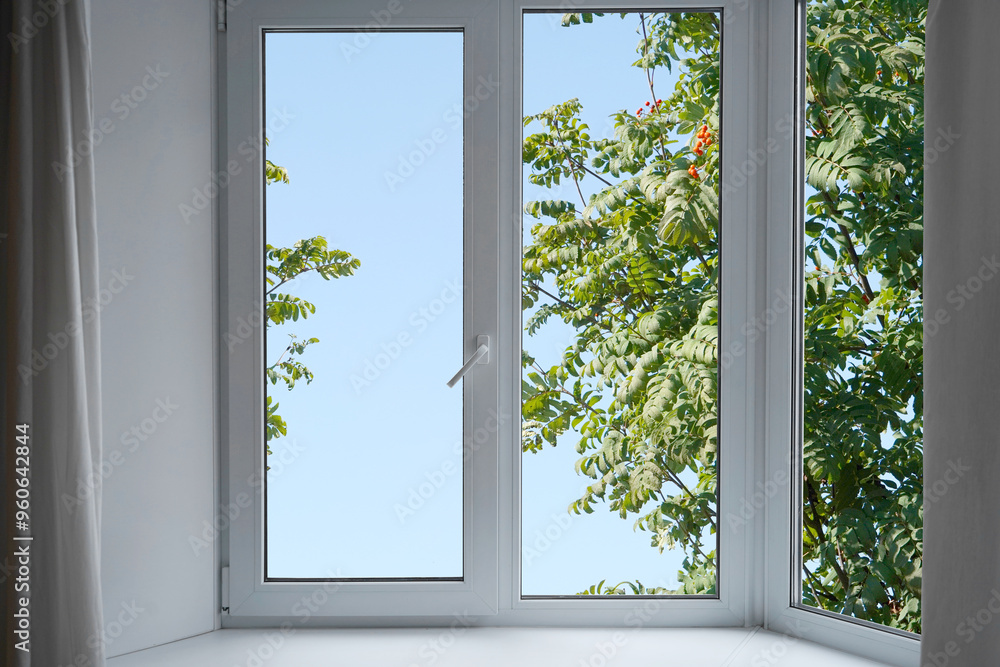 View from the window of the room on the park with green trees. View from the window of the room on the park with green trees.