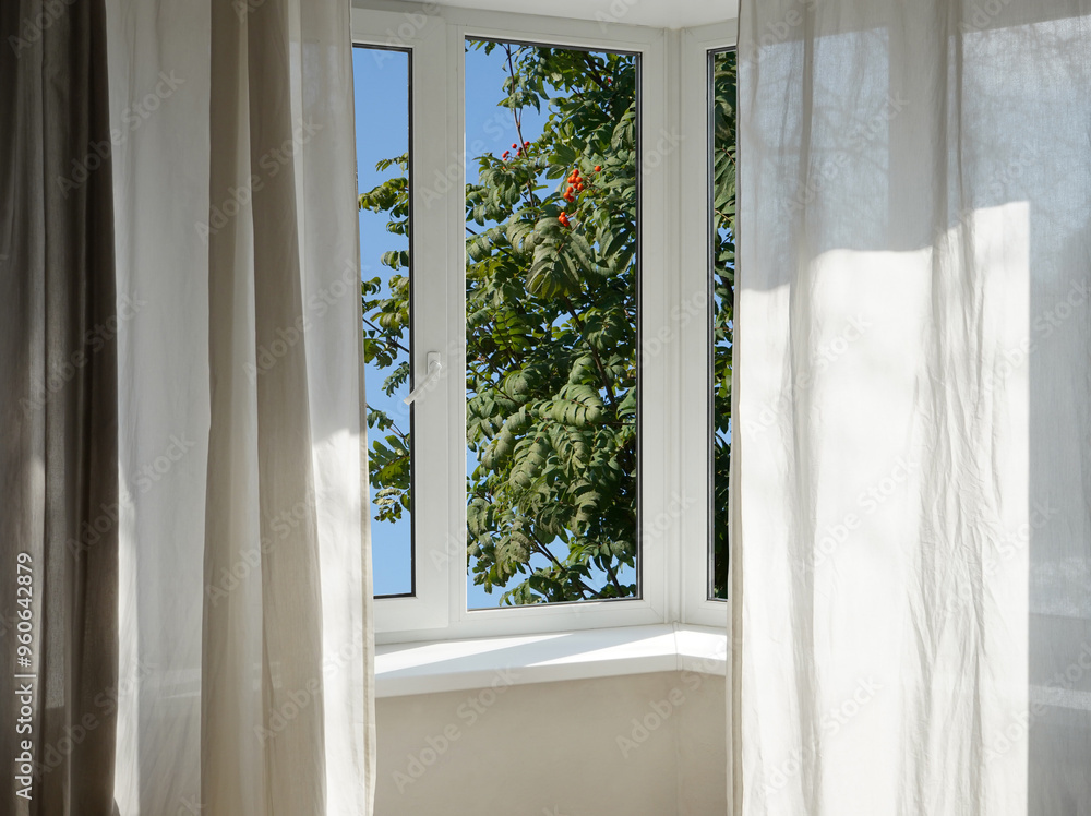 Obraz premium View from the window of the room on the park with green trees.