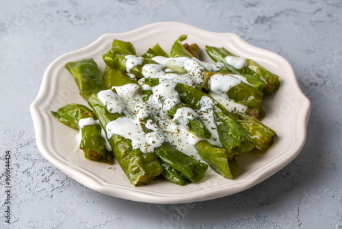 From Turkish cuisine, served with yogurt sauce on fried green peppers. Turkish name; Yogurtlu biber kizartmasi photo